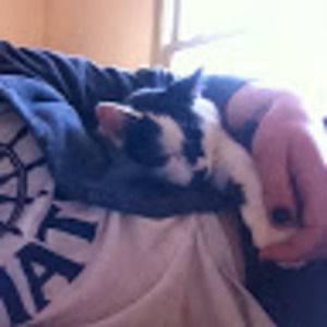 Meet your Posher, Cecile